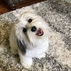 Come visit my Mom’s Closet.  It makes me smile!